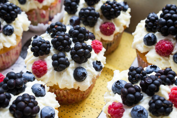 Homemade cupcakes decorated white cream and wild berries, delicious and fresh,