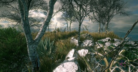 3D rendering of a forest facing the sea for video game backgrounds