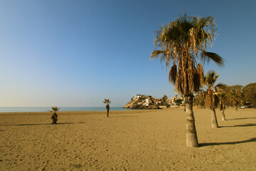 Playa con palmeras y casas al fondo. Playa de Bolnuevo,   en Mazarr&oacute;n (Murcia, Espa&ntilde;a).
