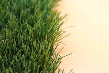 artificial grass or plastic grass on orange background