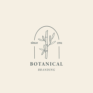 Line art bamboo plant logo