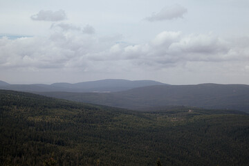 fog in the mountains