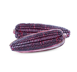 Siam Ruby, Queen or Thai red corn is sweet corn that can be eaten fresh and has a crispy sweet taste isolated on white background