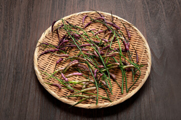 紫大根の実、鞘大根
