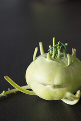 Vertical shot of a kohlrabi. Close up with black background
