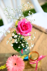 wedding table setting, pink rose, rose in vase, rose, ornamental plant, Asteraceae family, decoration with flowers, top view, vase with rose, ,top view, Rosaceae,rosales, rosids, angiospermica
