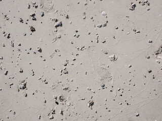 Top view of beach sand and dead corals