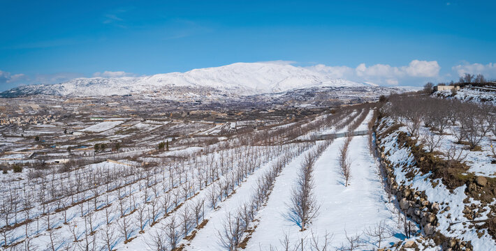 Aerial view of a dry vineyard in the snow, Golan Heights, Israel.