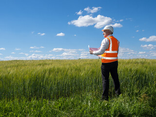 Foreman among tall grass. Man dressed as construction foreman. Construction manager inspects area....