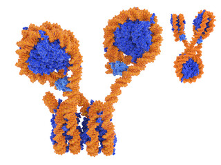 Tetranucleosome array with  2 H1 histones (light blue)