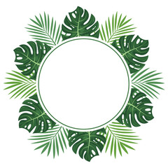 Tropical frame with monstera and palm leaves on white background