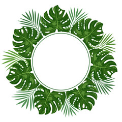 Tropical frame with monstera and palm leaves on white background