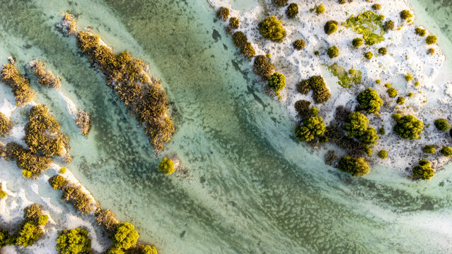 Aerial Photography of the mangroves in Abu Dhabi, UAE.