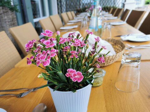 Tischdekoration mit Nelken im Blumentopf an einer langen menschenleeren Tafel