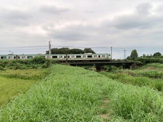 電車 train