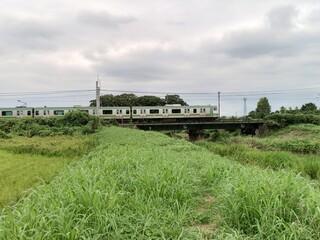 Obraz premium 電車 train