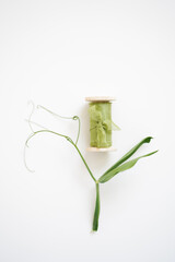 Composition of decor for a bouquet. A tender green ribbon on a wooden roll with a fresh branch on a white background