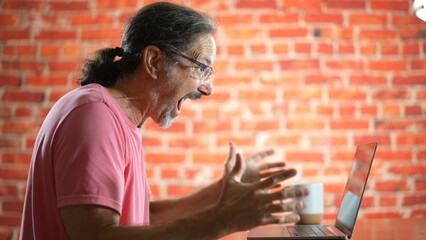 Profile of successful mature man in casual attire on laptop computer celebrating winning.
