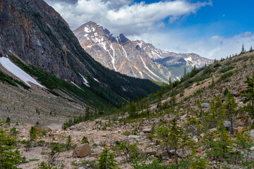 Fototapeta na wymiar Scenery along the Path of the Glacier Trail, Mt. Edith Cavell in Jasper National Park Canada
