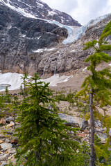Angel Glacier and waterfalls along the Path of the Glacier Trail, Mt. Edith Cavell in Jasper National Park Canada