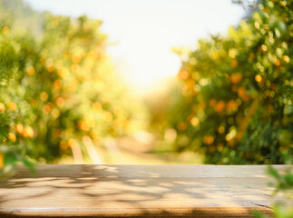 Empty wood table with free space over orange trees, orange field background. For product display montage.