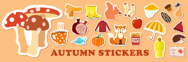 Autumn stickers icons set. Cute autumn pictures: rubber boots, book, cup of tea, sweater, umbrella, pie, apple, mushrooms, leaves, flowers etc. Isolated icons, stickers