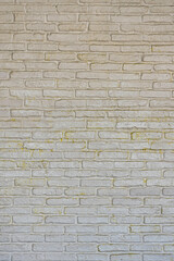 white brick wall Looks clean with natural light