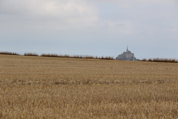 Vue du Mont-Saint-Michel depuis un champ