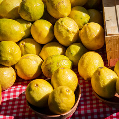 Citrons frais du marché.