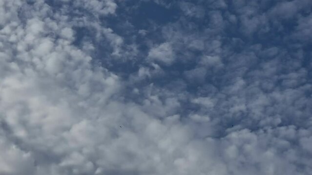 Nubes y golondrinas que revolotean