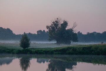 morning mist over the river