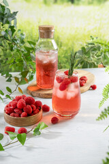 Summer refreshing non-alcoholic cocktails. Raspberry lemonade garnished with fresh rosemary. Summer raspberry beverage with sparkling water. Copy space.
