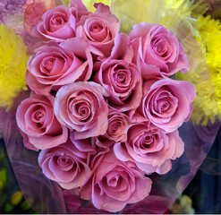 Bouquet of pink roses.