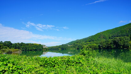 Fototapeta na wymiar 岐阜県八百津町　蘇水公園から見る木曽川
