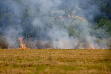 The farmer is burned the per cobs dry in the rice field .Causing smoke and the greenhouse effect in the world (Focus fire)