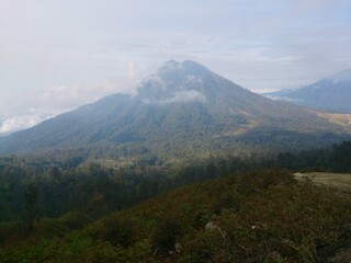 A Way Up the Mountain Hills