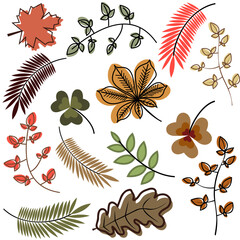 set of yellow orange and green autumn maple oak and chestnut leaves