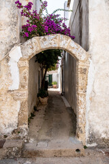 Fototapeta na wymiar Kythira island Mylopotamos Greece. Arched entrance, outdoors yard, purple bougainvillea. Vertical