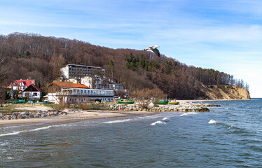 Orlowo cliff and sandy beach on the coast of the Baltic Sea in Gdynia 