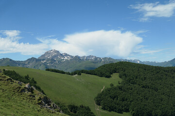 Fototapeta premium panorama