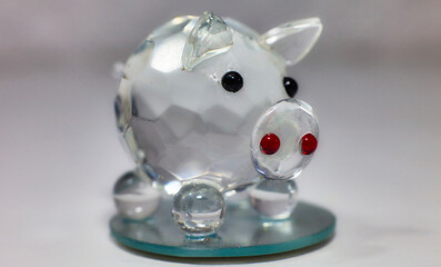 schwein