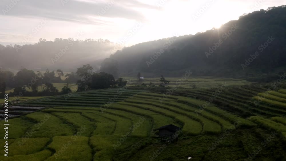 Wall mural Aerial view of rice terrace field at Ban Pa Bong Piang village in Chiang Mai Thailand