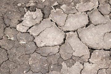 No rainfall causes dry fields during drought after very hot heat periode in summer for wasteland with cracked surface and broken farmland due to climatic change and global warming for crop loss drain