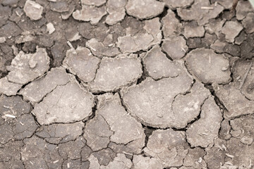 No rainfall causes dry fields during drought after very hot heat periode in summer for wasteland with cracked surface and broken farmland due to climatic change and global warming for crop loss drain