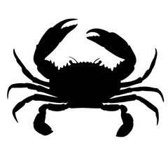 Silhouette illustration crab isolated on white