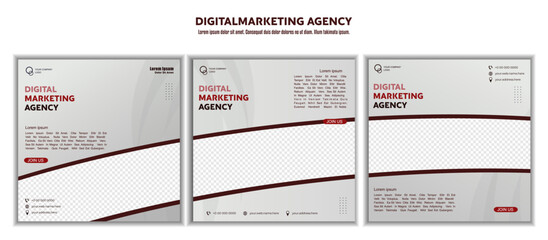 Digital marketing business webinar social media post. vector illustration and text