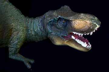 Tyrannosaurus dinosaurs toy