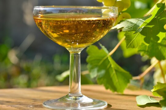 Coupe de vin et raisin