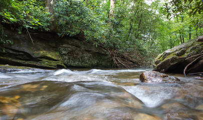 North Carolina Wilderness River Rapids in Summer