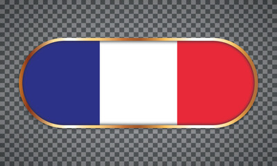 vector illustration of web button banner with country flag of France